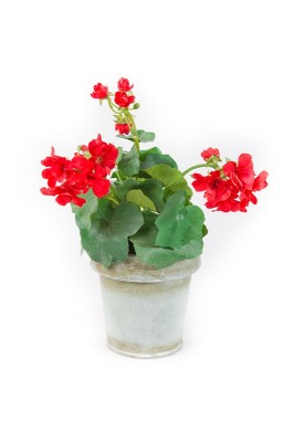 Фото Цветы - стиль Классический - Керамические - В наличии - Купить в Интернет-магазине