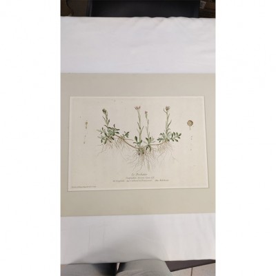 Фото Гравюра - стиль Классический - В наличии - Купить в Интернет-магазине