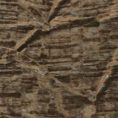 Фото Ткань портьерная однотонная - Бархат - стиль Современный - Коричневый - Купить в Интернет-магазине