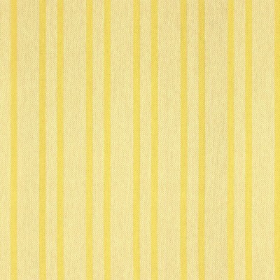 Фото Ткань портьерная с рисунком - Полоски - стиль Европейский - Желтые - Купить в Интернет-магазине