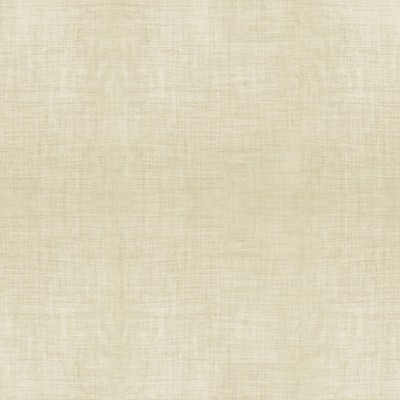 Фото Ткань портьерная однотонная - Текстурная ткань - стиль Современный - Бежевая - Купить в Интернет-магазине