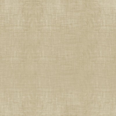 Фото Ткань портьерная однотонная - Текстурная ткань - стиль Современный - Бежевая - Купить в Интернет-магазине