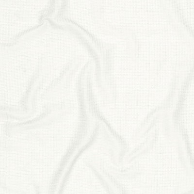 Фото Ткань портьерная однотонная - Лен - стиль Современный - Белый - Купить в Интернет-магазине