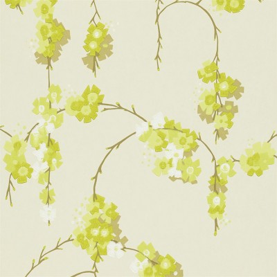 Фото Обои с рисунком - Цветы - стиль Современный - Кремовые - Купить в Интернет-магазине