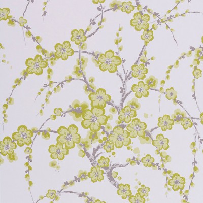 Фото Обои с рисунком - Цветы - стиль Английская классика - Белые - Купить в Интернет-магазине