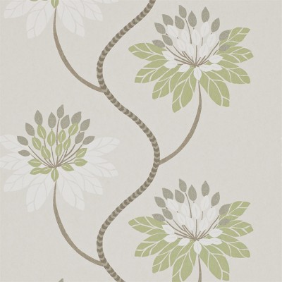 Фото Обои с рисунком - Цветы - стиль Современный - Серые - Купить в Интернет-магазине