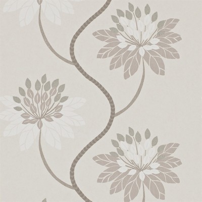 Фото Обои с рисунком - Цветы - стиль Современный - Светло-серые - Купить в Интернет-магазине