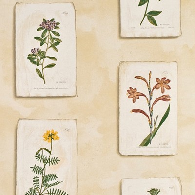 Фото Обои с рисунком - Крупный декор - стиль Английская классика - Розовые - Купить в Интернет-магазине