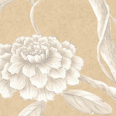 Фото Обои с рисунком - Орнамент - стиль Современных дизайнеров - Бежевые - Купить в Интернет-магазине