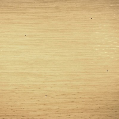 Фото Обои однотонные - Текстурные обои - стиль Английская классика - Желтые - Купить в Интернет-магазине