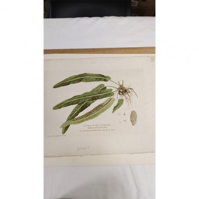 Фото Гравюра - стиль Классический - В наличии - Купить в Интернет-магазине