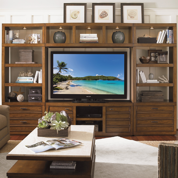 Фото ТВ шкаф - стиль Transitional - Для комната развлеченья - Купить в Интернет-магазине