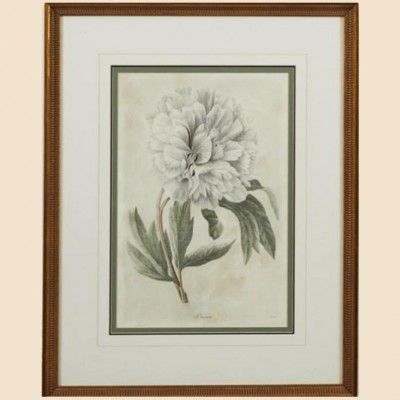 Фото Картина - стиль Классический - Картонная - Купить в Интернет-магазине