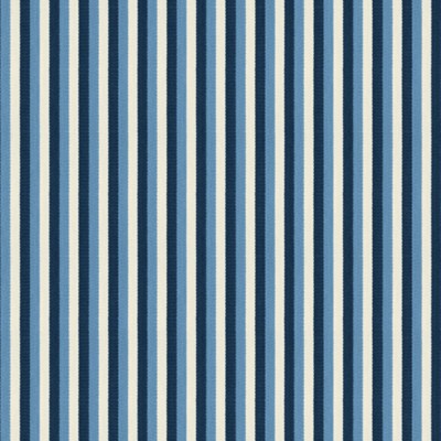 Фото Ткань портьерная с рисунком - Полоски - стиль Современный - Голубы - Купить в Интернет-магазине