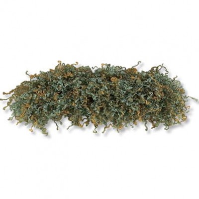 Фото Отделка для текстильных изделий - Бахрома - стиль Английский - Бирюзовая - Купить в Интернет-магазине