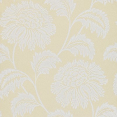 Фото Обои с рисунком - Цветы - стиль Современный - Кремовые - Купить в Интернет-магазине