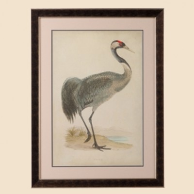 Фото Гравюра - стиль Классический - Купить в Интернет-магазине