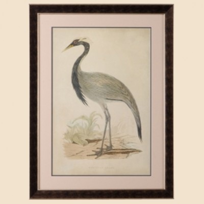 Фото Гравюра - стиль Классический - Купить в Интернет-магазине