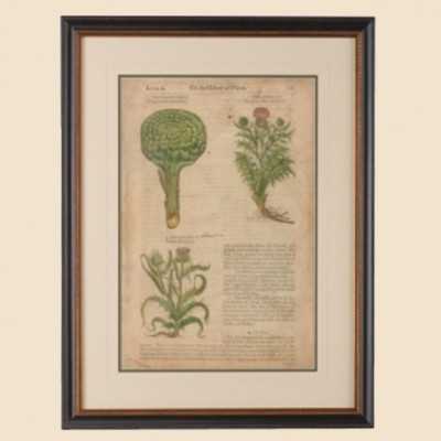 Фото Гравюра - стиль Классический - Купить в Интернет-магазине