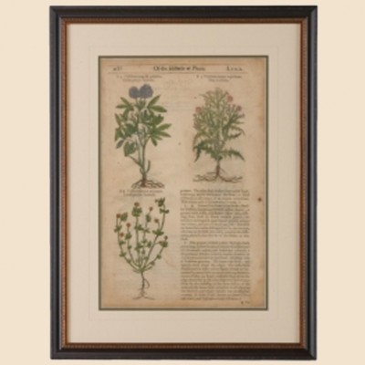 Фото Гравюра - стиль Классический - Купить в Интернет-магазине