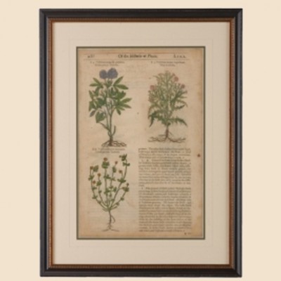 Фото Гравюра - стиль Классический - Купить в Интернет-магазине