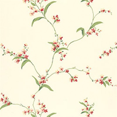 Фото Обои с рисунком - Цветы - стиль Американский - Кремовые - Купить в Интернет-магазине