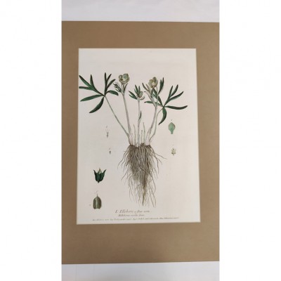 Фото Гравюра - стиль Классический - В наличии - Купить в Интернет-магазине