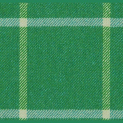 Фото Ткань портьерная с рисунком - Клетка - стиль Американский - Зеленая - Купить в Интернет-магазине