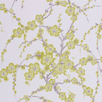 Фото Обои с рисунком - Цветы - стиль Английская классика - Белые - Купить в Интернет-магазине