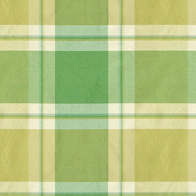 Фото Ткань портьерная с рисунком - Клетка - стиль Английский - Зеленая - Купить в Интернет-магазине
