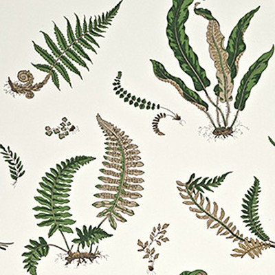 Фото Обои с рисунком - Растение - стиль Английская классика - Кремовые - Купить в Интернет-магазине