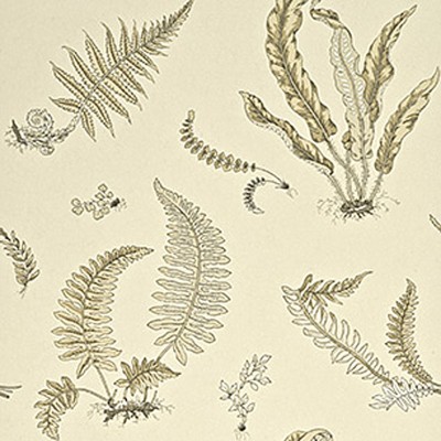 Фото Обои с рисунком - Растение - стиль Английская классика - Бежевые - Купить в Интернет-магазине