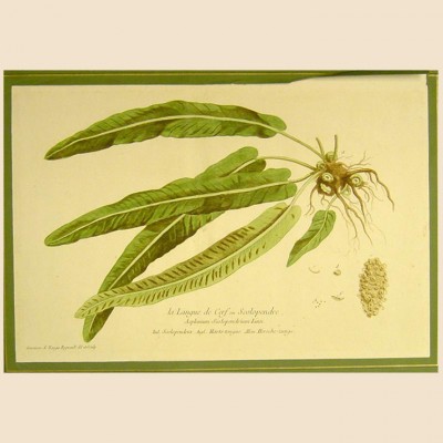 Фото Гравюра - стиль Классический - Картонная - В наличии - Купить в Интернет-магазине