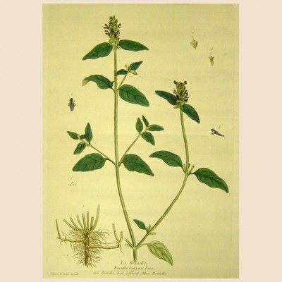 Фото Гравюра - стиль Классический - Картонная - В наличии - Купить в Интернет-магазине