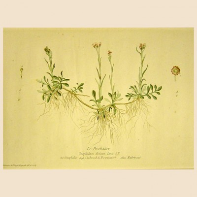 Фото Гравюра - стиль Классический - Картонная - В наличии - Купить в Интернет-магазине