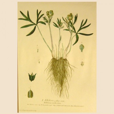 Фото Гравюра - стиль Классический - Картонная - В наличии - Купить в Интернет-магазине