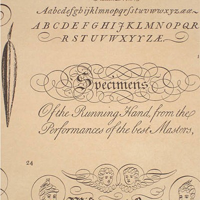 Фото Обои с рисунком - Крупный декор - стиль Английская классика - Бежевые - Купить в Интернет-магазине