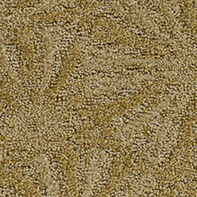 Фото Ковровое покрытие - стиль Современные - Купить в Интернет-магазине