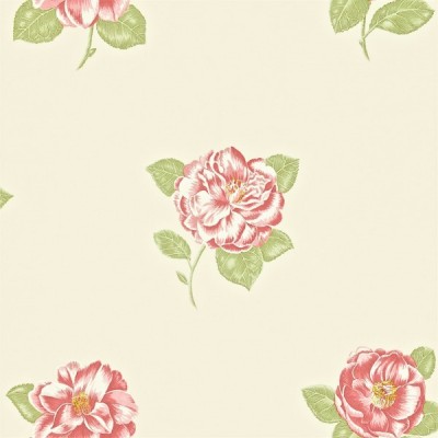 Фото Обои с рисунком - Цветы - стиль Английская классика - Кремовые - Купить в Интернет-магазине