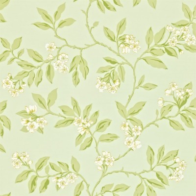 Фото Обои с рисунком - Растение - стиль Английская классика - Зеленые - Купить в Интернет-магазине