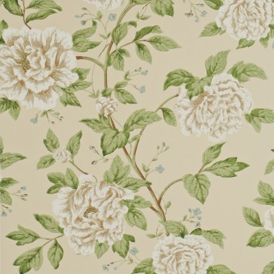 Фото Обои с рисунком - Цветы - стиль Английская классика - Бежевые - Купить в Интернет-магазине