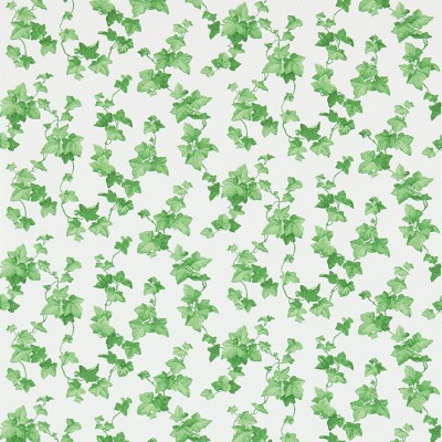 Фото Обои с рисунком - Растение - стиль Английская классика - Белые - Купить в Интернет-магазине