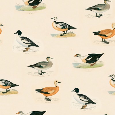 Фото Обои с рисунком - Крупный декор - стиль Современный - Кремовые - Купить в Интернет-магазине