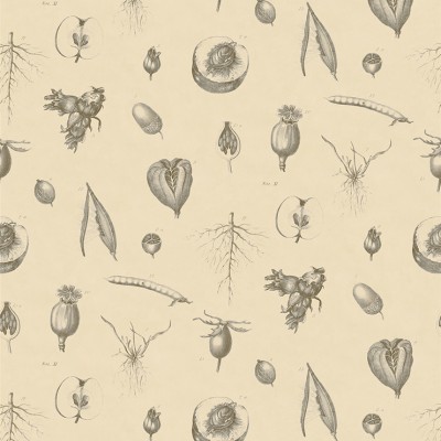 Фото Обои с рисунком - Крупный декор - стиль Современный - Бежевые - Купить в Интернет-магазине