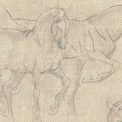 Фото Ткань портьерная с рисунком - Анималистический принт - стиль Английский - Купить в Интернет-магазине