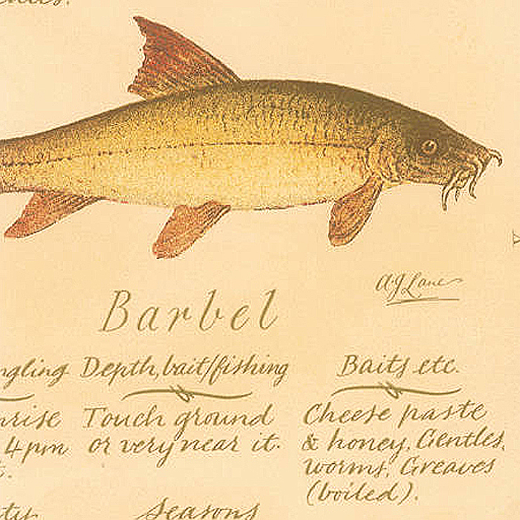 Фото Обои с рисунком - Крупный декор - стиль Английская классика - Бежевые - Купить в Интернет-магазине