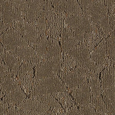 Фото Ковровое покрытие - стиль Современные - Купить в Интернет-магазине