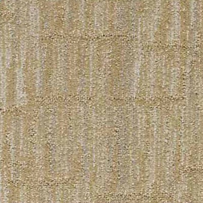 Фото Ковровое покрытие - стиль Современные - Купить в Интернет-магазине