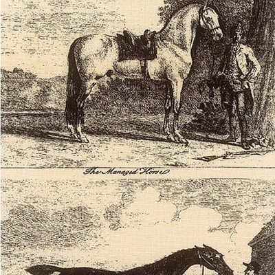 Фото Обои с рисунком - Крупный декор - стиль Английская классика - Бежевые - Купить в Интернет-магазине