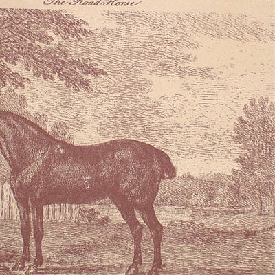 Фото Обои с рисунком - Крупный декор - стиль Английская классика - Бежевые - Купить в Интернет-магазине